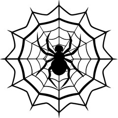Fototapeta premium spider and web