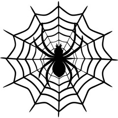 Obraz premium spider on web