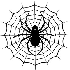 Obraz premium spider and web