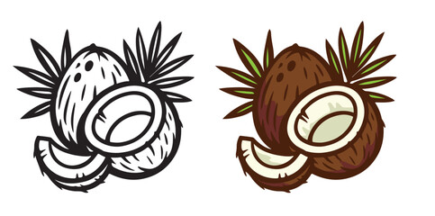 Tropical coconuts with leaves in cartoon style. Whole and cut fruit illustration. Hand-drawn, colorful. Isolated on white background