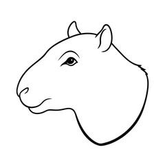 Capybara head outline illustration south american rodent black and white animal drawing simple vector graphic
