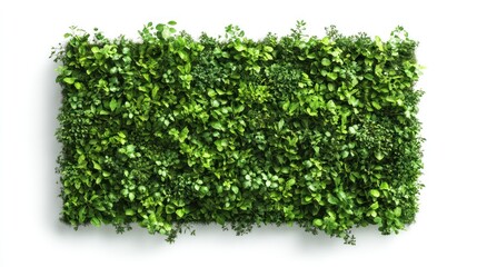 Green artificial plant wall panel isolated on white background.