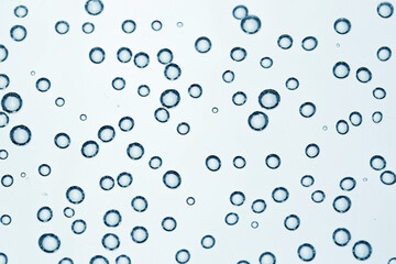 Soda water with bubbles as background, closeup