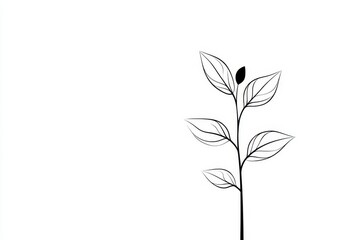 Fototapeta premium Simple Line Drawing of a Plant - Minimalist black line art illustration of a small plant with leaves and a bud, set against a white background