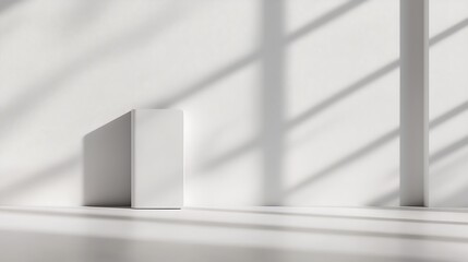 White Minimalist Room with Sunlight Shadows