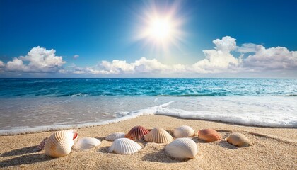 sunny beach with shells