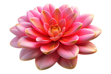 Obraz premium Vibrant Pink Dahlia Flower Blossom Closeup Studio Shot