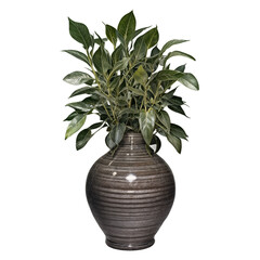 A lush green leafy plant is arranged in a round, dark ceramic vase with horizontal lines, creating a natural and decorative indoor display.