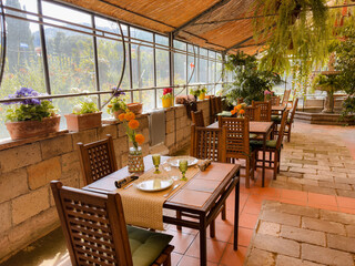 Interior of a wooden greenhouse with plants and flowers. vintage glass greenhouse with chair.