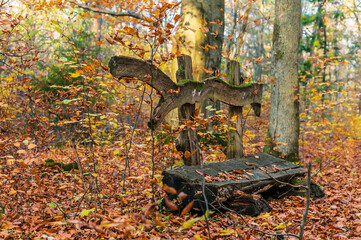 Picturesque autumn forest in red tone. Wooden bench in autumn forest.