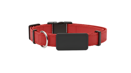 Red nylon adjustable pet collar with id tag and metal ring for leash attachment accessory product on transparent background