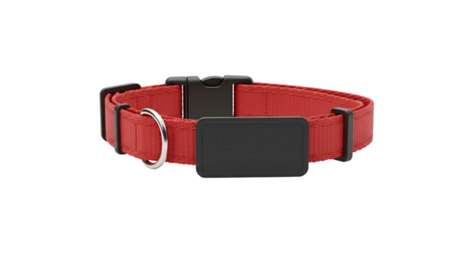 Red nylon adjustable pet collar with id tag and metal ring for leash attachment accessory product on transparent background