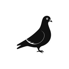 pigeon silhouette isolated on white backgrund