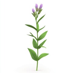 Obraz premium Isolated, lilac-colored flower stalk with leaves.