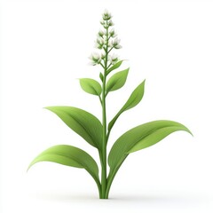 Obraz premium A vibrant, upright plant with clusters of small white blossoms.