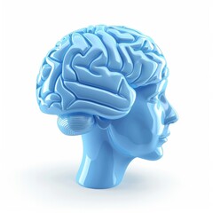 Obraz premium Light-blue sculpted model of a human head and brain.