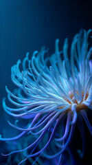 Glowing Sea Anemone Underwater Closeup