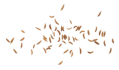  Cumin seeds flying, caraway grains scattered isolated on white, clipping