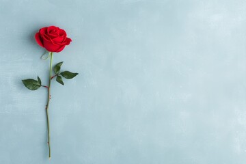 Fototapeta premium Single red rose with green leaves on light blue background, romantic floral minimal composition with copy space for Valentine card, flower branding or love-themed product display