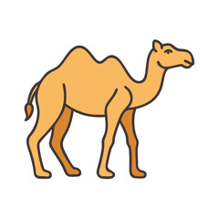 Camel illustration desert animal mammal wildlife africa safari arabian dromedary bactrian art design drawing graphic vector image