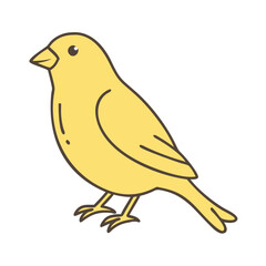 Illustration of a yellow canary bird drawing vector graphic design cute bird canary animal pet art icon design element