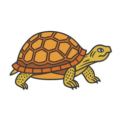 Illustration of a turtle tortoise reptile animal wildlife nature shell vector art graphic design drawing