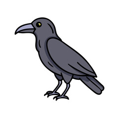 Illustration of a black crow raven bird perching standing with detailed feathers and beak design