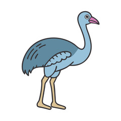 Fototapeta premium Illustration of a blue emu bird standing tall with long legs and neck vector drawing design