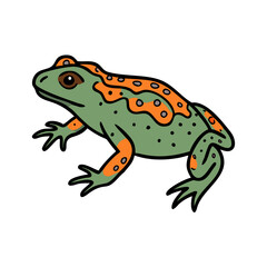 Illustration of green orange frog amphibian animal wildlife nature drawing vector art design graphic toad