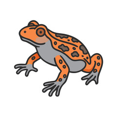 Illustration of orange frog amphibian animal wildlife nature toad cartoon vector drawing design graphic