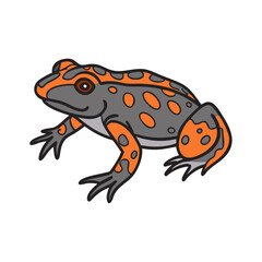 Illustration of a fire belly toad amphibian animal with orange spots and gray skin drawing art