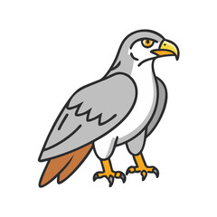 Illustration of a falcon bird of prey eagle hawk vector drawing wildlife animal design predator icon