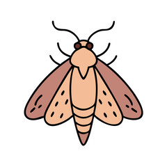 Illustration of a moth insect with wings and antennae, vector moth illustration drawing design