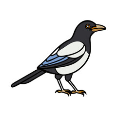 Obraz premium Illustration of a magpie bird, black and white bird, avian wildlife, nature drawing, magpie art