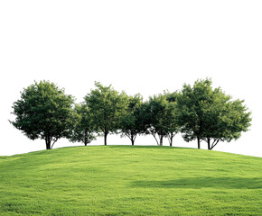 Serene trees on a hilltop nature scene green environment aerial view isolated on transparent...
