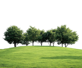 Serene trees on a hilltop nature scene green environment aerial view isolated on transparent background