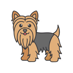 Illustration of a brown bird wildlife animal avian ornithology nature birdwatching species