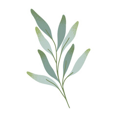 Isolated green branch with leaves vector.Botany emblem design element.Hand drawn floral spring or summer illustration for prints,flyers,banners,wedding,invitations,branding design,clipart.