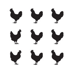 chicken silhouettes. Vector Illustration