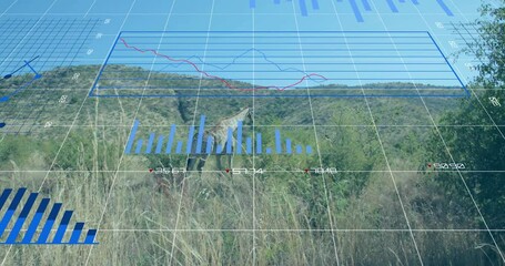 Giraffe walking through grassland while animated data overlay showing bar and line graphs - Powered by Adobe