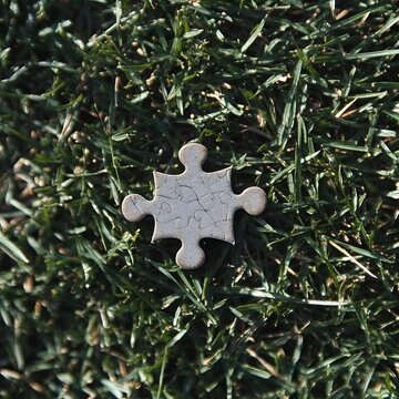Single Jigsaw Puzzle Piece on Grass, Missing Piece Concept