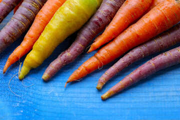 Fresh carrot vegetables, Ripe carrots