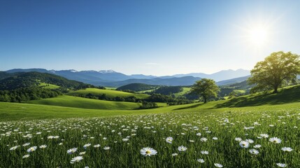 Scenic Meadow of Daisies with Rolling Green Hills and Distant Mountains on a Sunny Day Under a Blue Sky