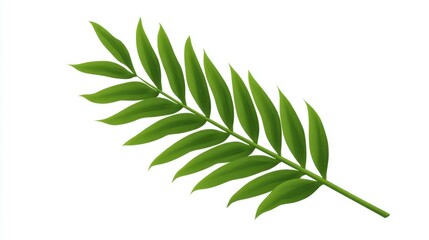 Obraz premium Detailed Isolated Frond: Tropical Palm Leaf Against White Background for Summer Vibes and Plant Studies