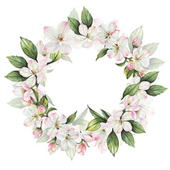 Round frame with apple tree flowers and green leaves. Composition with delicate flowers, white, pink, white background. Watercolor illustration. Wedding, wallpapers, backgrounds, textures, invitation