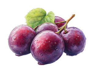 Fresh purple plums harvested organic farm food natural isolated on transparent background
