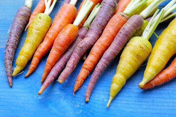 Fresh carrot vegetables, Ripe carrots