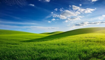 Fototapeta premium grune wiese und blauer himmel 3