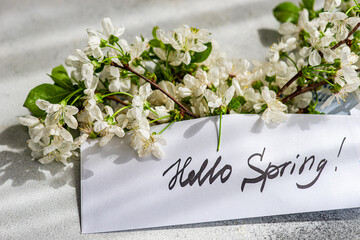 Cherry Blossoms and Greeting Card Amid Springtime Vibes
