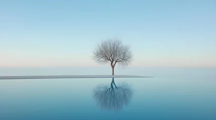 Fototapeten Serene Minimalist Landscape, Single Tree Reflecting in Calm Water © Mr